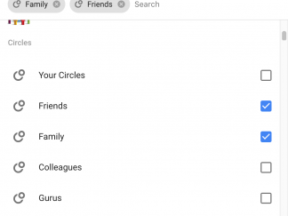 Google Plus Condivisione Cerchie