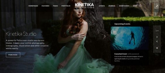 kinetika tema wordpress