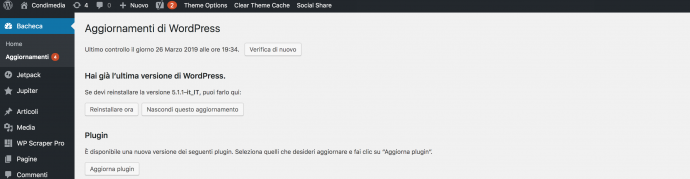 aggiornamento wordpress automatico